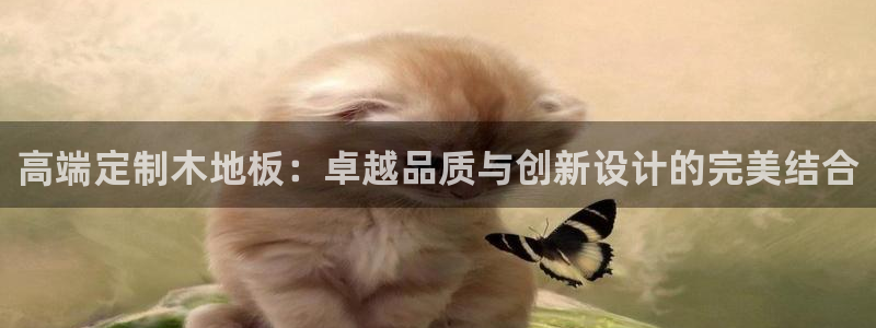中欧体育全站app