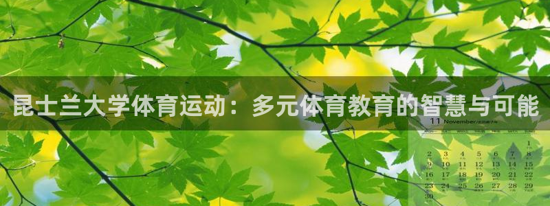 中欧体育下载