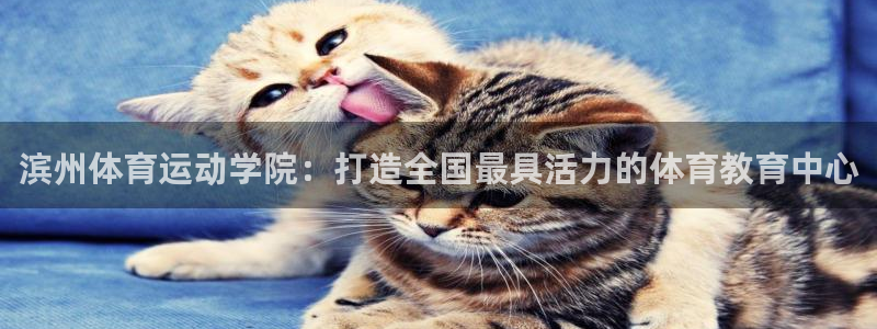 中欧体育kok