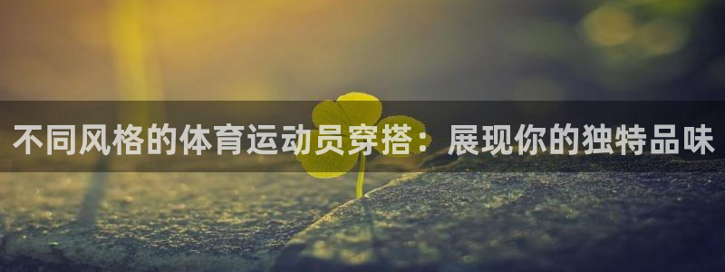 中欧体育网址