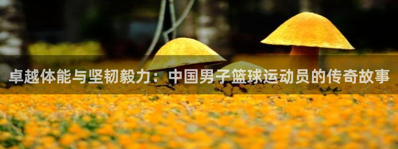 中欧体育网址