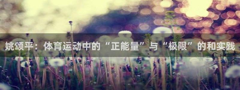 中欧体育kok