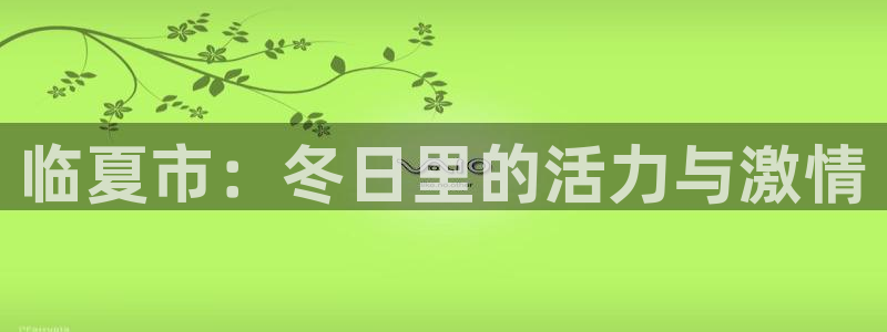 中欧体育app