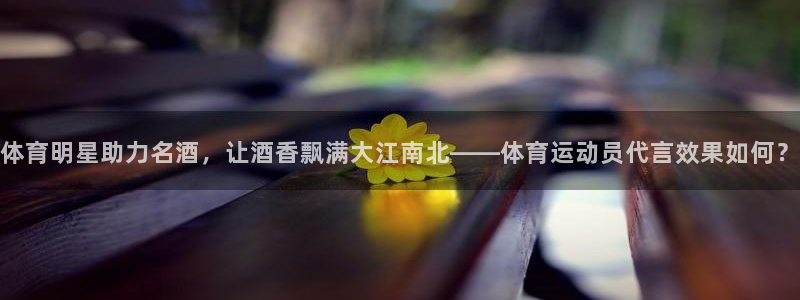 kok中欧体育