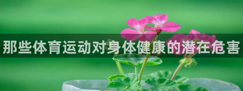 中欧体育网站