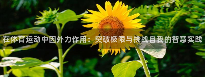 中欧体育网站