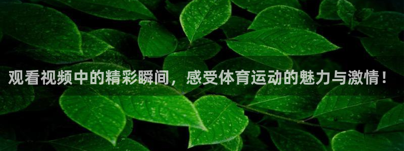 中欧体育官网